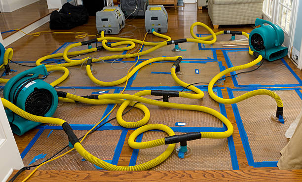 Professional Crawl Space Water Removal technician working in McComb, MS